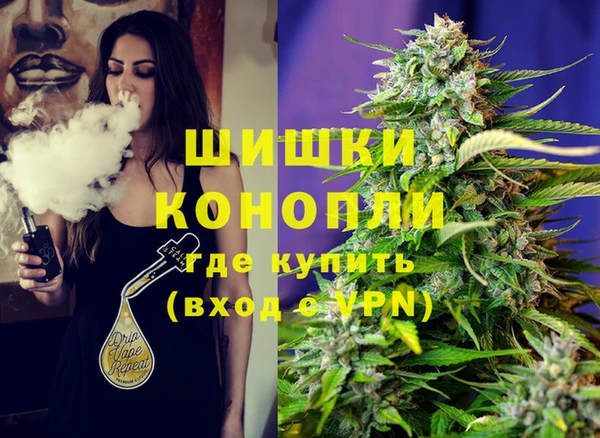 прущие грибы Балабаново