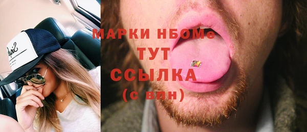 прущие грибы Балабаново